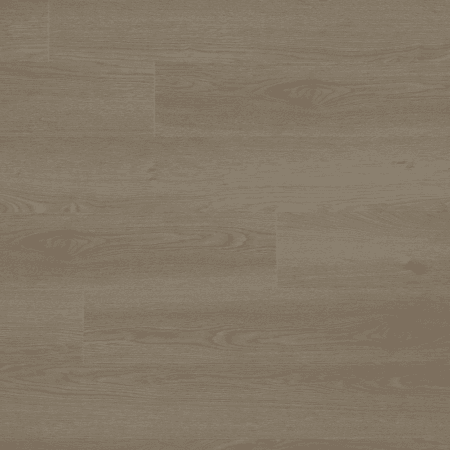 Sava Hazelnut