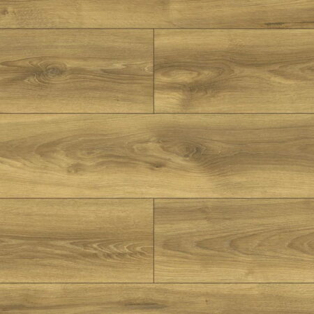 dab falcon volo aurum swiss krono